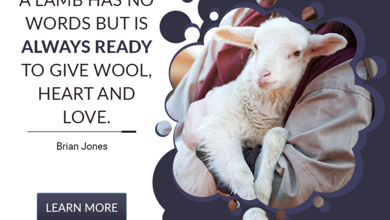 A lamb has no words…